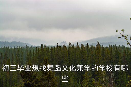 初三毕业想找舞蹈文化兼学的学校有哪些