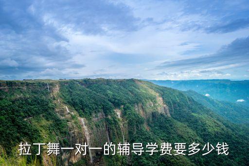 拉丁舞一对一的辅导学费要多少钱