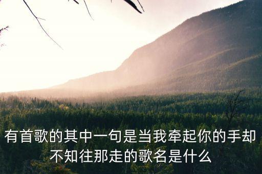 有首歌的其中一句是当我牵起你的手却不知往那走的歌名是什么