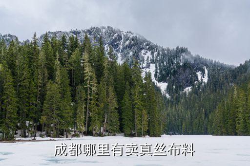 成都哪里有卖真丝布料