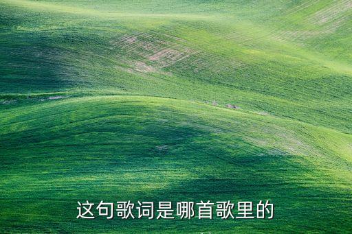 白天的月亮是什么歌，歌词把我忘记与你并肩想和你起风浪愉悦歌曲大概是合