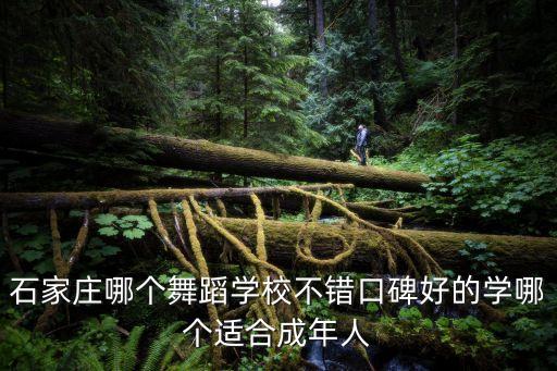 石家庄哪个舞蹈学校不错口碑好的学哪个适合成年人