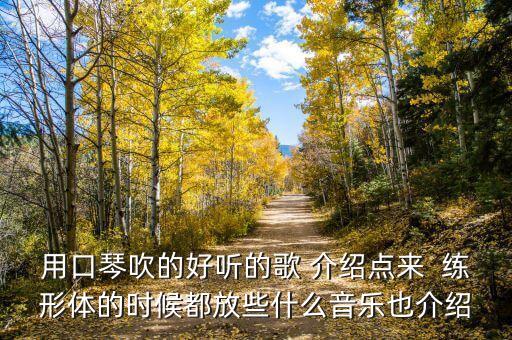 用口琴吹的好听的歌 介绍点来  练形体的时候都放些什么音乐也介绍