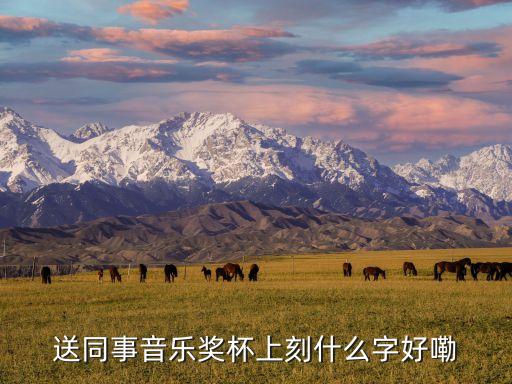 送同事音乐奖杯上刻什么字好嘞