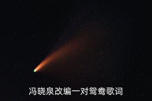 冯晓泉改编一对鸳鸯歌词