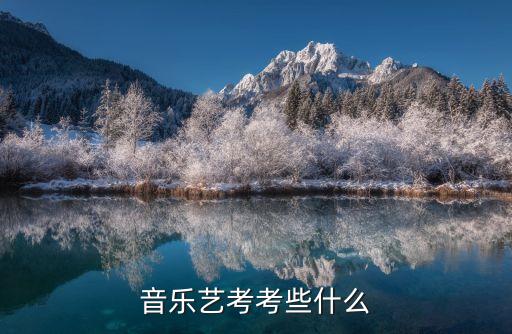 音乐艺考考些什么