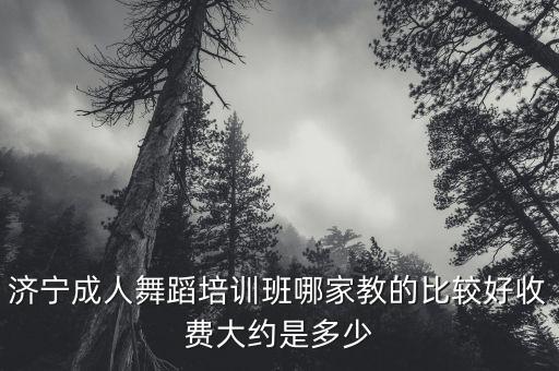济宁成人舞蹈培训班哪家教的比较好收费大约是多少
