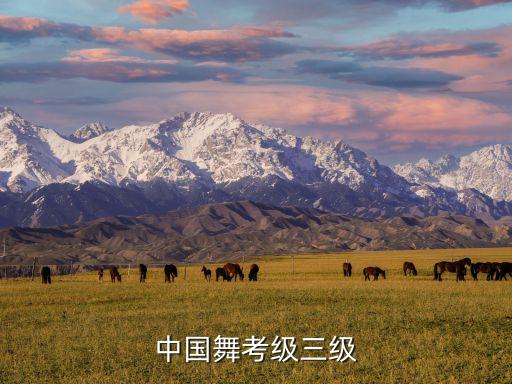 中国舞考级三级