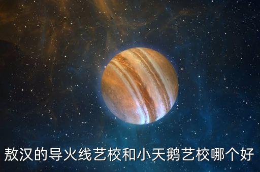 敖汉的导火线艺校和小天鹅艺校哪个好