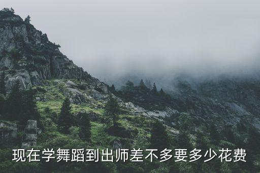 现在学舞蹈到出师差不多要多少花费