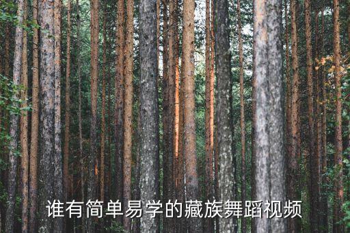 学藏舞蹈的视频教程全集，藏舞的视频哪里有