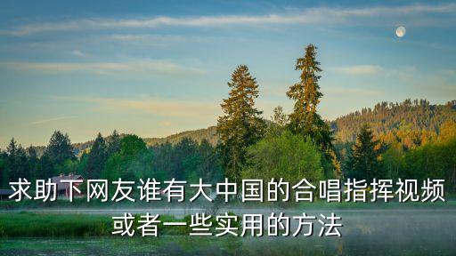 求助下网友谁有大中国的合唱指挥视频或者一些实用的方法
