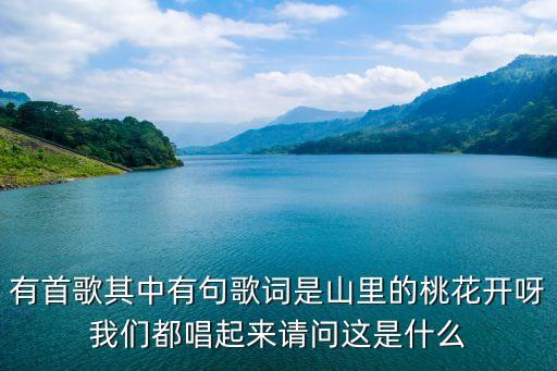 山上的桃花香是什么歌，山上的桃花开呀是哪个歌里的词