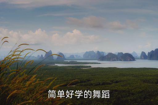 简单好学的舞蹈