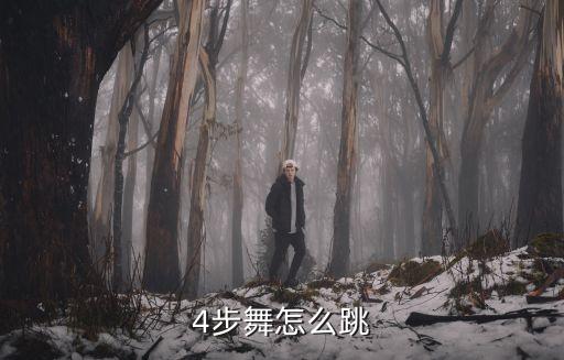 4步舞怎么跳