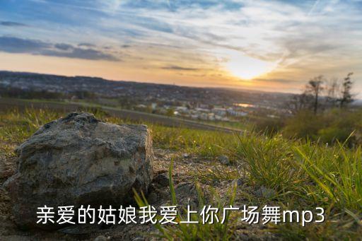 亲爱的姑娘我爱上你广场舞mp3