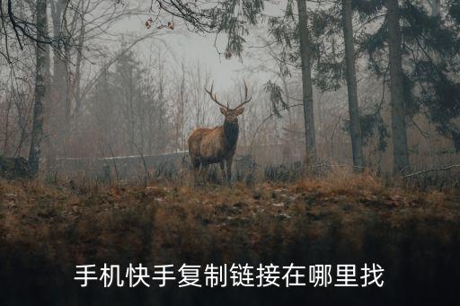 手机快手复制链接在哪里找