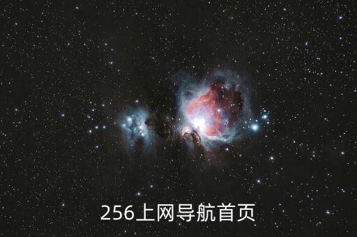 256上网导航首页