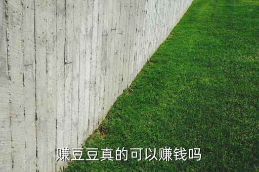 赚豆豆真的可以赚钱吗