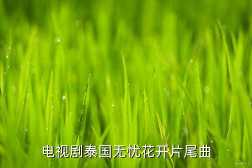 歌曲无忧花开，无忧花开第四集曼娃听的歌曲