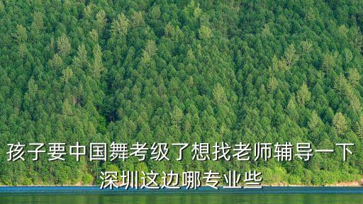 孩子要中国舞考级了想找老师辅导一下深圳这边哪专业些