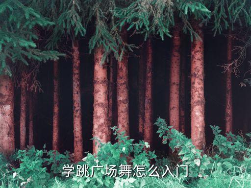 基本广场舞怎么跳，学跳广场舞怎么入门