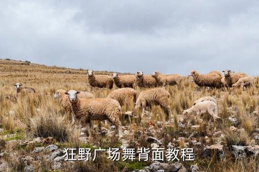 广场舞天边背面教学，狂野广场舞背面教程
