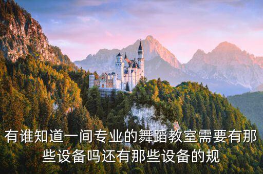 舞蹈多功能教室介绍，有谁知道一间专业的舞蹈教室需要有那些设备吗还有那些设备的规