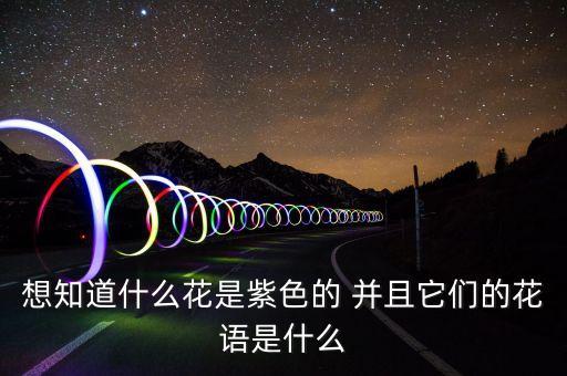 想知道什么花是紫色的 并且它们的花语是什么