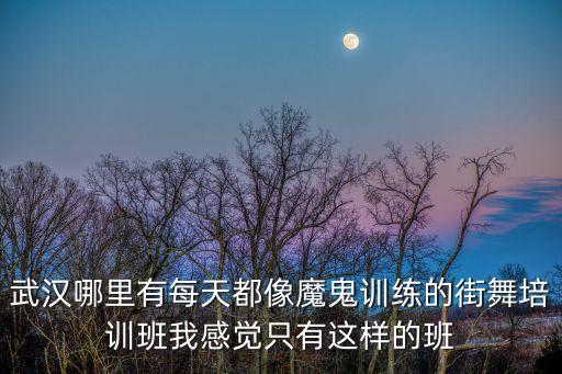 武汉哪里有每天都像魔鬼训练的街舞培训班我感觉只有这样的班