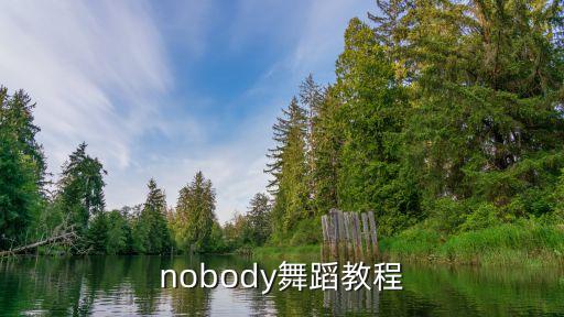 nobody舞蹈教程