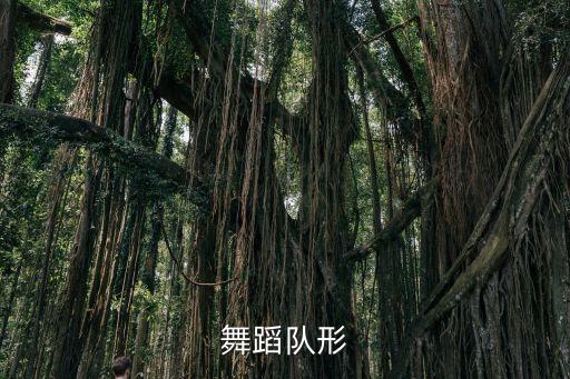 舞蹈队形