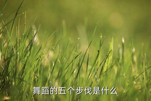 舞蹈的五个步伐是什么