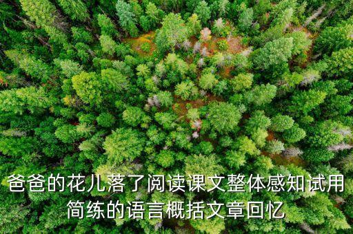 爸爸的花儿落了阅读课文整体感知试用简练的语言概括文章回忆