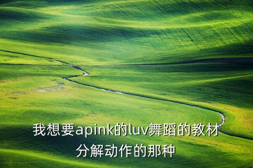 我想要apink的luv舞蹈的教材分解动作的那种