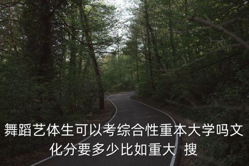舞蹈艺体生可以考综合性重本大学吗文化分要多少比如重大  搜