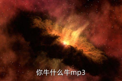 你牛什么牛歌曲播放器，你牛什么牛mp3