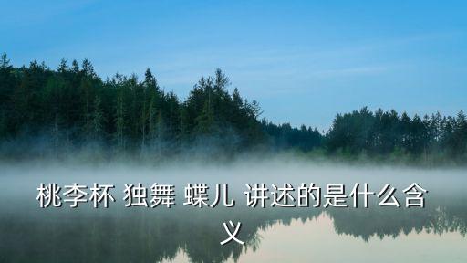 桃李杯 独舞 蝶儿 讲述的是什么含义