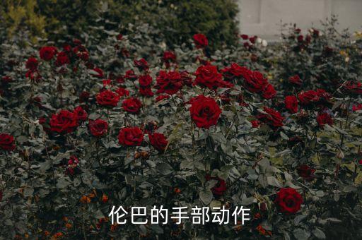 伦巴的手部动作