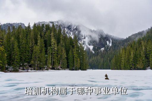 舞蹈培训机构属于什么单位性质，培训机构属于哪种事业单位