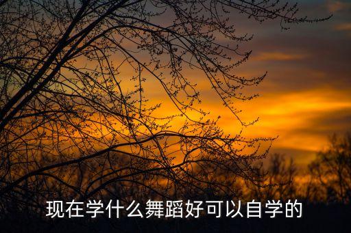 现在学什么舞蹈好可以自学的