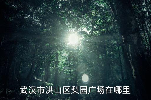 梨花广场在哪里，武汉市洪山区梨园广场在哪里