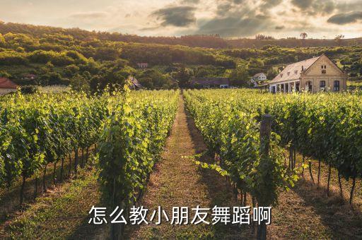 怎么教小朋友舞蹈啊
