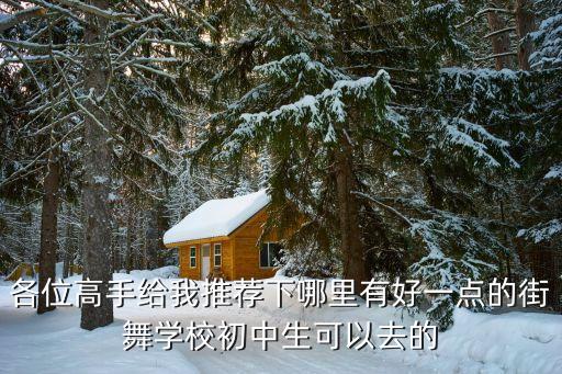初中舞蹈艺校有哪些学校好，各位高手给我推荐下哪里有好一点的街舞学校初中生可以去的