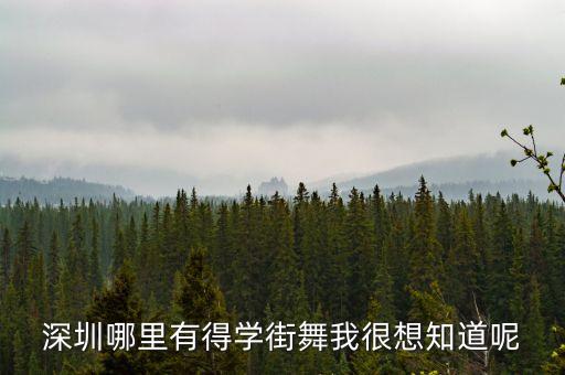 深圳哪里有得学街舞我很想知道呢