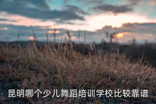昆明哪个少儿舞蹈培训学校比较靠谱