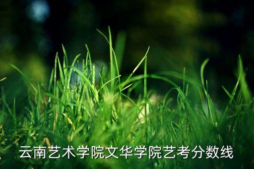云南艺术学院舞蹈类录取分数线，2011年云南艺术学院专业录取分数