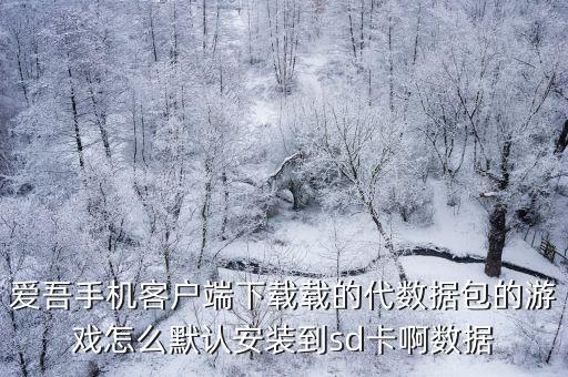 爱吾手机客户端下载载的代数据包的游戏怎么默认安装到sd卡啊数据