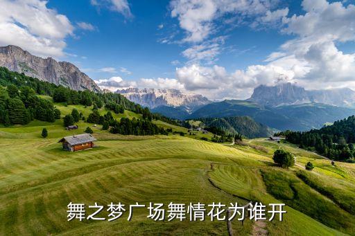 什么梦的广场舞歌曲，小时候的梦长大后的我 广场舞