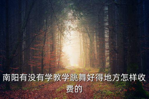 南阳有没有学教学跳舞好得地方怎样收费的